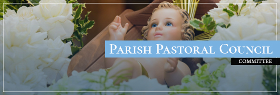 Parish pastoral council